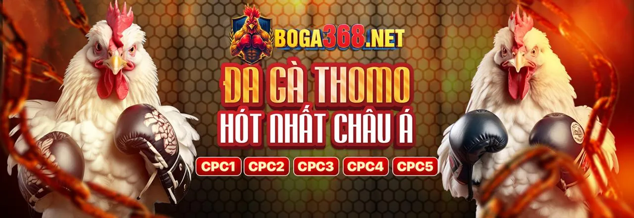Tham gia win 97 ngay hôm nay